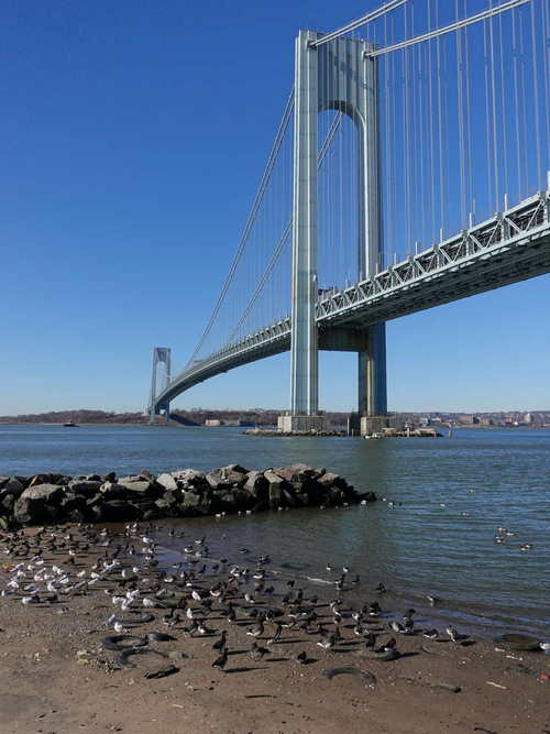 NYC_2024-02-05 10-23-39_RX_07400